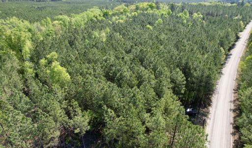 Photo #12 of SOLD property in On Spraggins Road, Gasburg, VA 7.3 acres