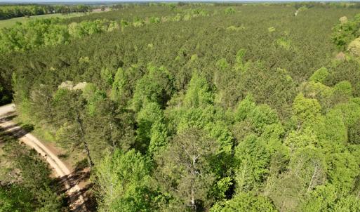 Photo #13 of SOLD property in On Spraggins Road, Gasburg, VA 7.3 acres