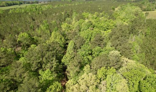 Photo #14 of SOLD property in On Spraggins Road, Gasburg, VA 7.3 acres