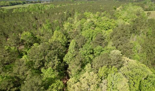 Photo #16 of SOLD property in On Spraggins Road, Gasburg, VA 7.3 acres