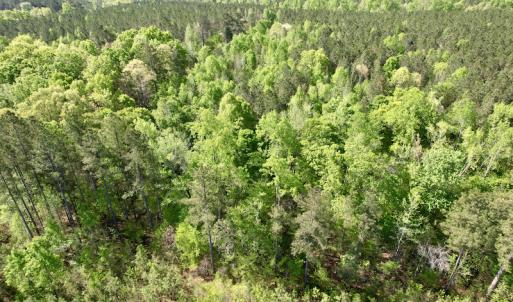 Photo #17 of SOLD property in On Spraggins Road, Gasburg, VA 7.3 acres