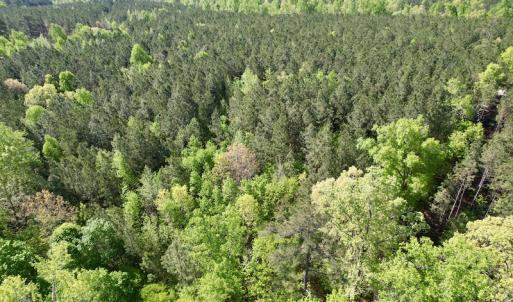 Photo #18 of SOLD property in On Spraggins Road, Gasburg, VA 7.3 acres