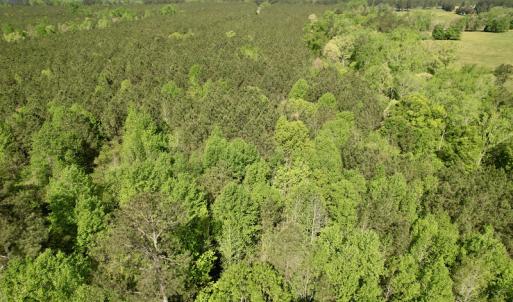 Photo #19 of SOLD property in On Spraggins Road, Gasburg, VA 7.3 acres