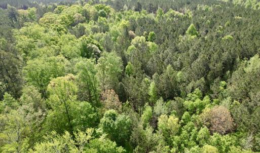 Photo #20 of SOLD property in On Spraggins Road, Gasburg, VA 7.3 acres