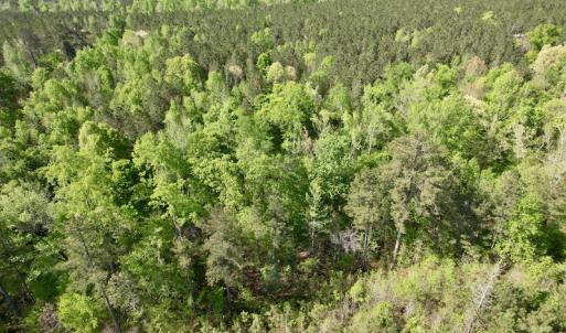 Photo #22 of SOLD property in On Spraggins Road, Gasburg, VA 7.3 acres