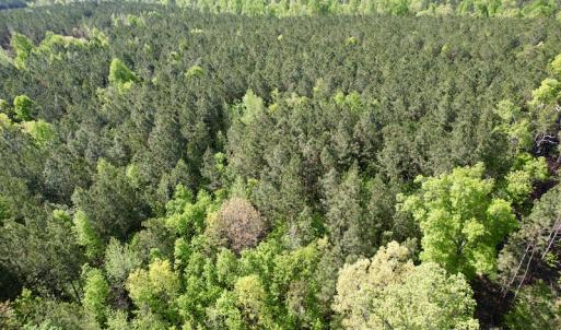 Photo #23 of SOLD property in On Spraggins Road, Gasburg, VA 7.3 acres