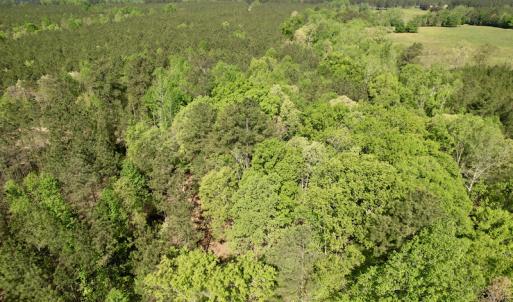 Photo #24 of SOLD property in On Spraggins Road, Gasburg, VA 7.3 acres
