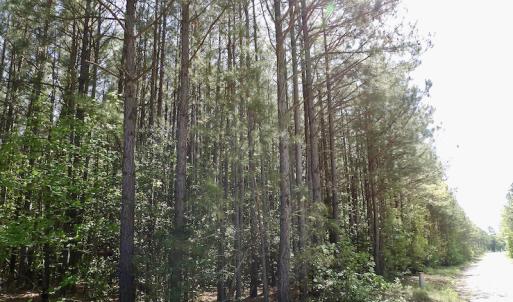 Photo #25 of SOLD property in On Spraggins Road, Gasburg, VA 7.3 acres