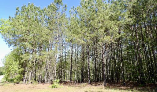 Photo #26 of SOLD property in On Spraggins Road, Gasburg, VA 7.3 acres
