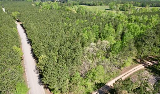 Photo #3 of SOLD property in On Spraggins Road, Gasburg, VA 7.3 acres