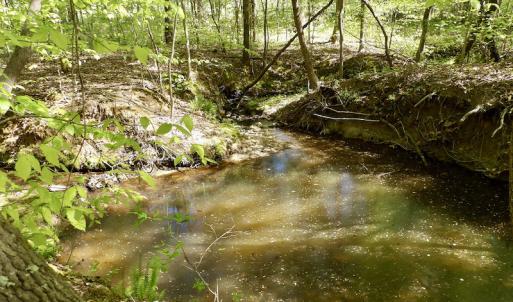 Photo #30 of SOLD property in On Spraggins Road, Gasburg, VA 7.3 acres
