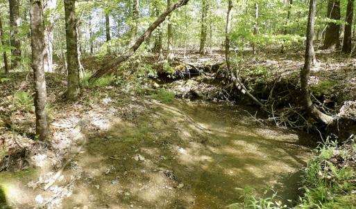 Photo #31 of SOLD property in On Spraggins Road, Gasburg, VA 7.3 acres