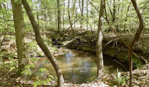 Photo #32 of SOLD property in On Spraggins Road, Gasburg, VA 7.3 acres