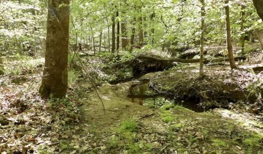 Photo #33 of SOLD property in On Spraggins Road, Gasburg, VA 7.3 acres