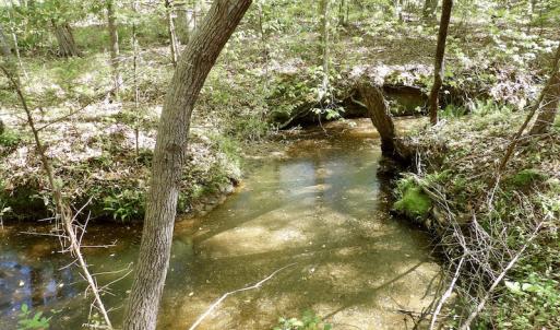 Photo #34 of SOLD property in On Spraggins Road, Gasburg, VA 7.3 acres