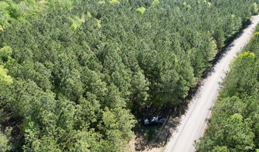 Photo #5 of SOLD property in On Spraggins Road, Gasburg, VA 7.3 acres