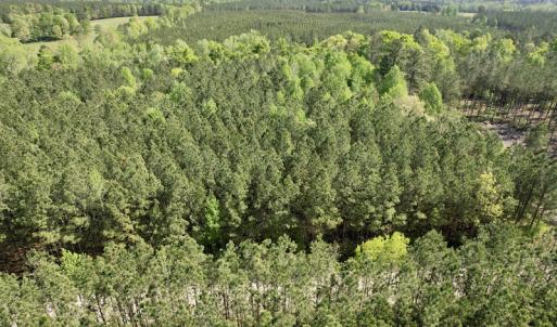 Photo #6 of SOLD property in On Spraggins Road, Gasburg, VA 7.3 acres
