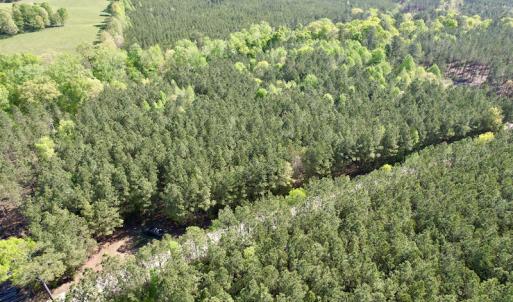 Photo #8 of SOLD property in On Spraggins Road, Gasburg, VA 7.3 acres