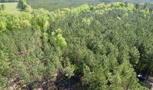 Photo #9 of SOLD property in On Spraggins Road, Gasburg, VA 7.3 acres