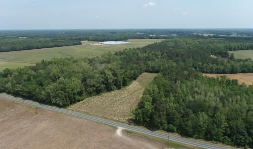 Photo #3 of SOLD property in Off Mill Branch Road, Fairmont, NC 40.0 acres
