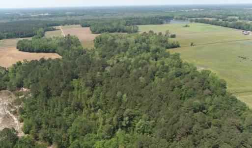 Photo #4 of SOLD property in Off Mill Branch Road, Fairmont, NC 40.0 acres