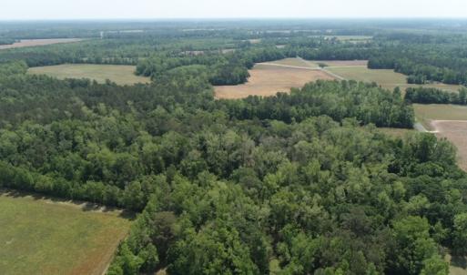 Photo #5 of SOLD property in Off Mill Branch Road, Fairmont, NC 40.0 acres