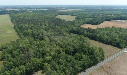 Photo #6 of SOLD property in Off Mill Branch Road, Fairmont, NC 40.0 acres