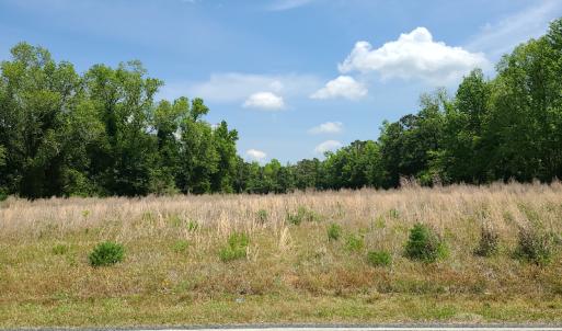 Photo #7 of SOLD property in Off Mill Branch Road, Fairmont, NC 40.0 acres