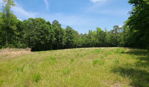 Photo #10 of SOLD property in Off Mill Branch Road, Fairmont, NC 40.0 acres