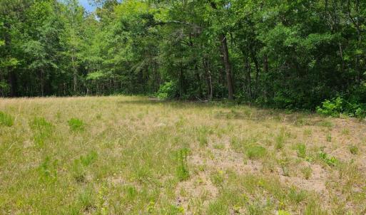 Photo #11 of SOLD property in Off Mill Branch Road, Fairmont, NC 40.0 acres