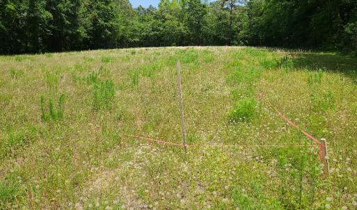 Photo #12 of SOLD property in Off Mill Branch Road, Fairmont, NC 40.0 acres