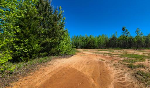 Photo #3 of SOLD property in Off Philpott Road, South Boston, VA 89.0 acres