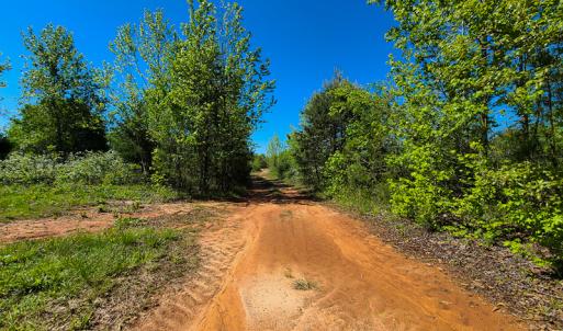 Photo #4 of SOLD property in Off Philpott Road, South Boston, VA 89.0 acres