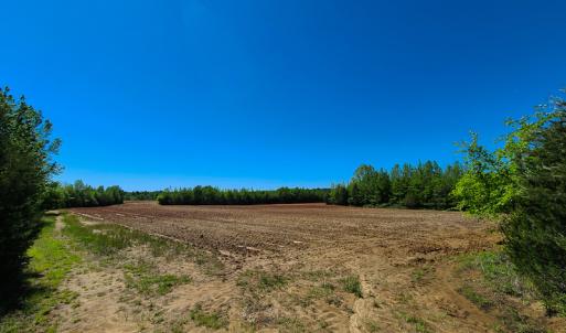 Photo #5 of SOLD property in Off Philpott Road, South Boston, VA 89.0 acres