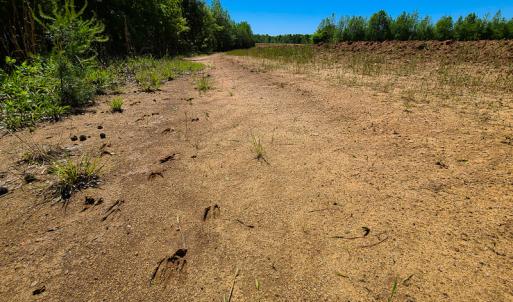 Photo #6 of SOLD property in Off Philpott Road, South Boston, VA 89.0 acres