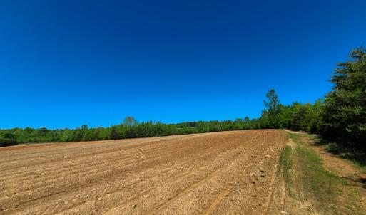 Photo #7 of SOLD property in Off Philpott Road, South Boston, VA 89.0 acres