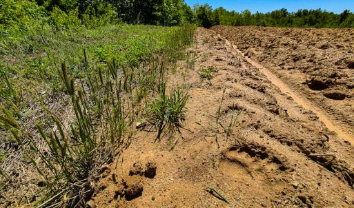 Photo #11 of SOLD property in Off Philpott Road, South Boston, VA 89.0 acres