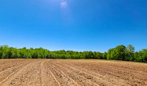 Photo #8 of SOLD property in Off Philpott Road, South Boston, VA 89.0 acres