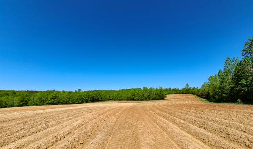 Photo #9 of SOLD property in Off Philpott Road, South Boston, VA 89.0 acres