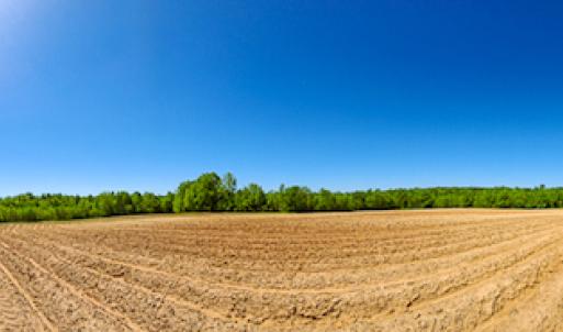 Photo #10 of SOLD property in Off Philpott Road, South Boston, VA 89.0 acres
