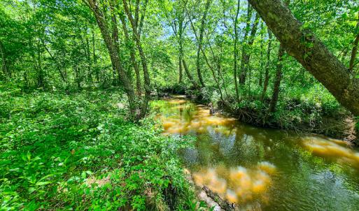 Photo #19 of SOLD property in Off Philpott Road, South Boston, VA 89.0 acres