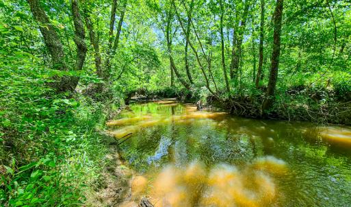 Photo #20 of SOLD property in Off Philpott Road, South Boston, VA 89.0 acres