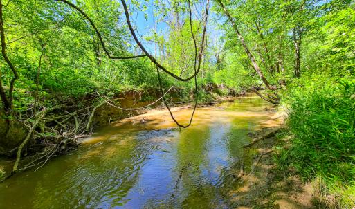 Photo #21 of SOLD property in Off Philpott Road, South Boston, VA 89.0 acres