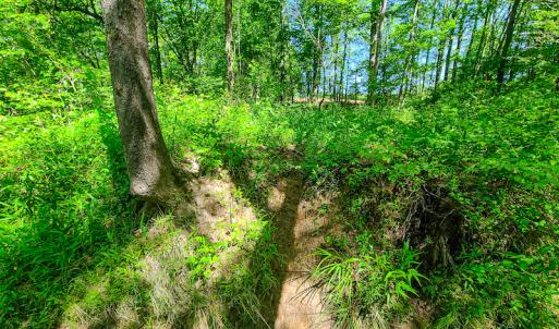 Photo #22 of SOLD property in Off Philpott Road, South Boston, VA 89.0 acres