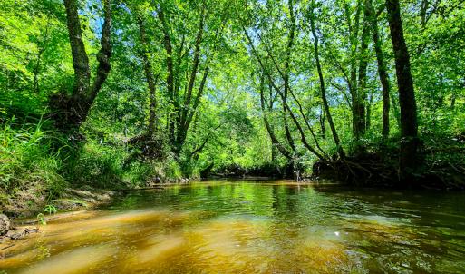 Photo #23 of SOLD property in Off Philpott Road, South Boston, VA 89.0 acres