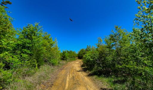 Photo #24 of SOLD property in Off Philpott Road, South Boston, VA 89.0 acres