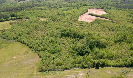 Photo #27 of SOLD property in Off Philpott Road, South Boston, VA 89.0 acres