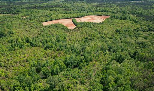 Photo #29 of SOLD property in Off Philpott Road, South Boston, VA 89.0 acres