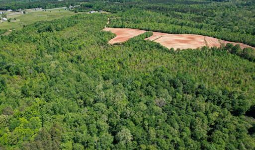 Photo #30 of SOLD property in Off Philpott Road, South Boston, VA 89.0 acres