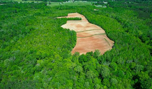 Photo #31 of SOLD property in Off Philpott Road, South Boston, VA 89.0 acres